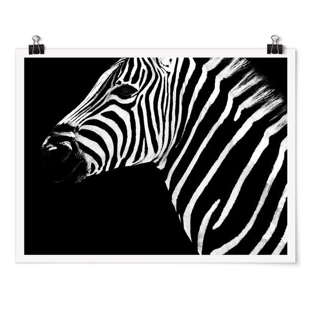 Tableaux modernes Zebra Safari Art