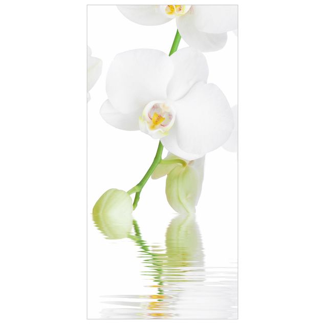 Panneau de séparation - Spa Orchid - White Orchid