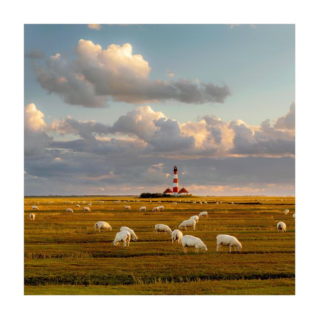 tapis vert Phare de la mer du Nord avec un troupeau de moutons