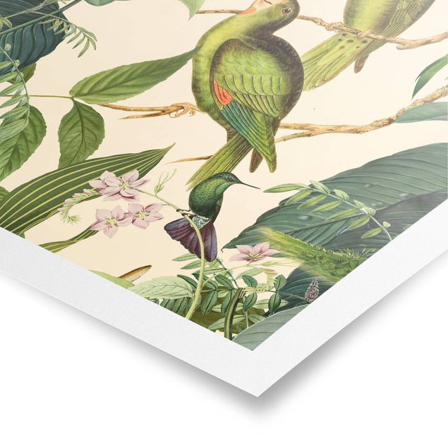 Tableaux animaux Collage Vintage - Perroquets dans la jungle