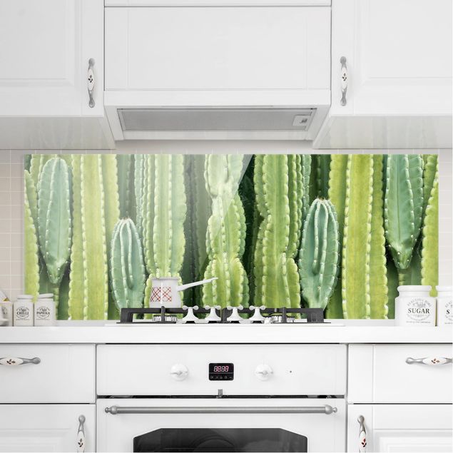 Décorations cuisine Mur de cactus