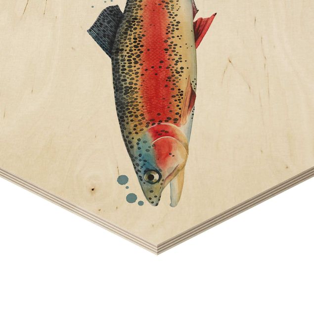 Hexagone en bois - Color Catch - Trout