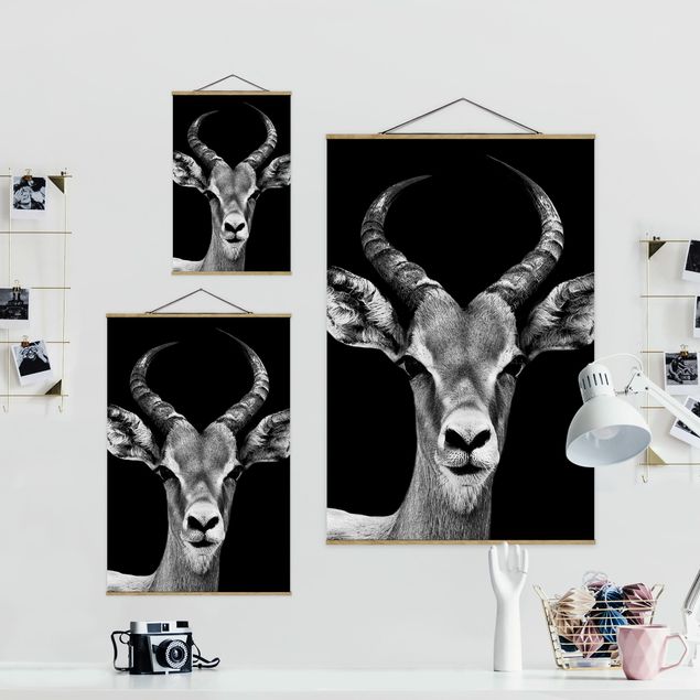 Tableaux Antilope Impala noir et blanc