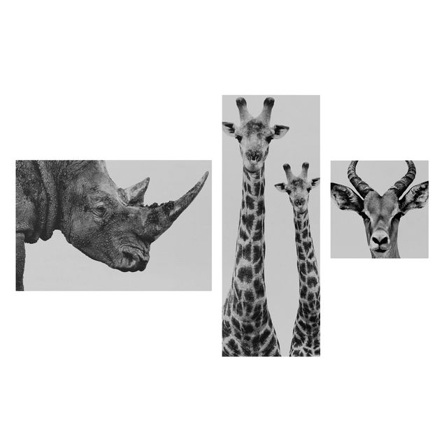 Tableaux animaux Trilogie Safari II