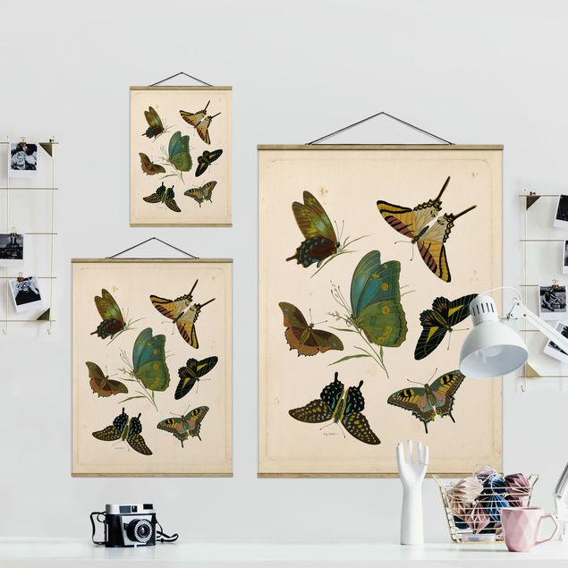 Tableau turquoise Illustration vintage Papillons Exotiques