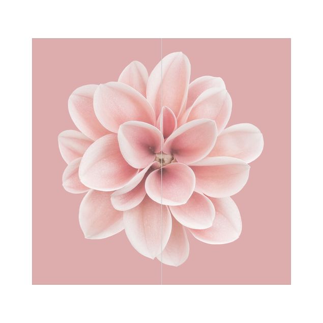 Revêtement mural de douche - Dahlia Pink Blush Flower Centered