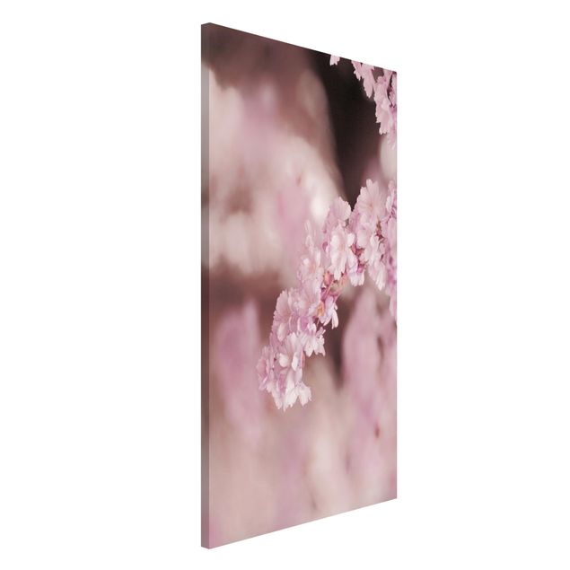 Déco murale cuisine Fleurs de cerisier dans une lumière violette
