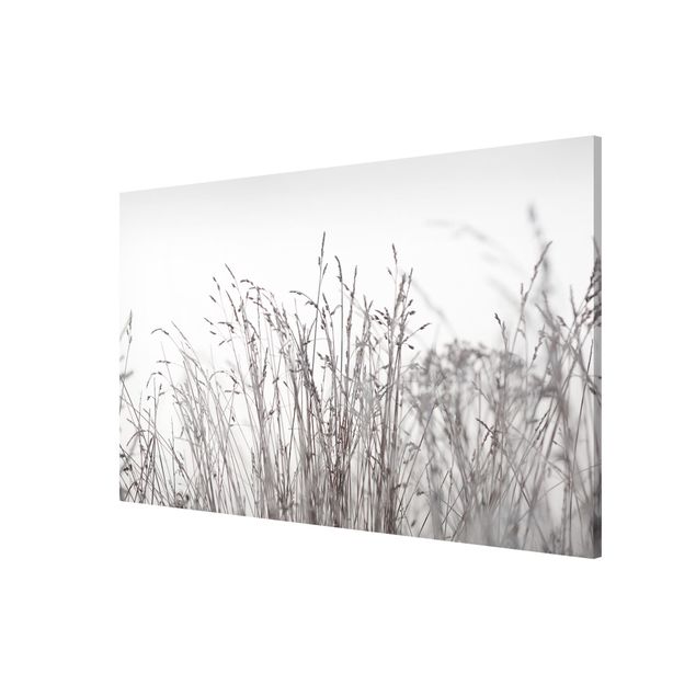 Tableaux moderne Winter Grasses