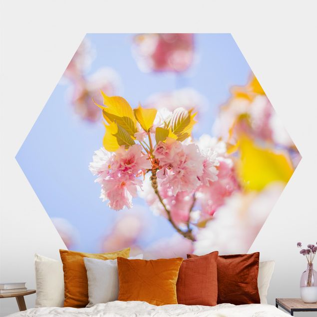 Papier peint moderne Fleurs de cerisier colorées