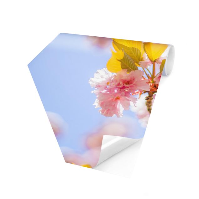 Papier peint panoramique Fleurs de cerisier colorées