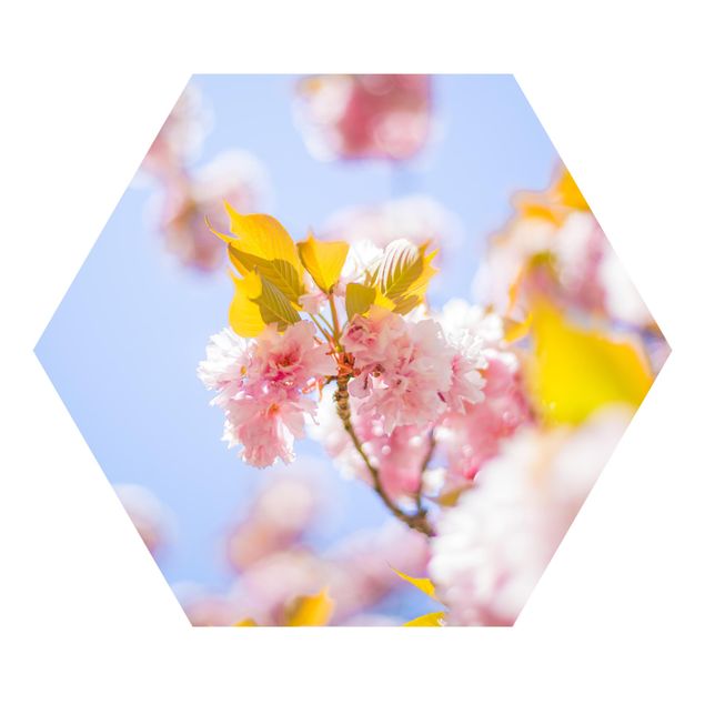 Papier peint hexagonal autocollant avec dessins - Colourful Cherry Blossoms