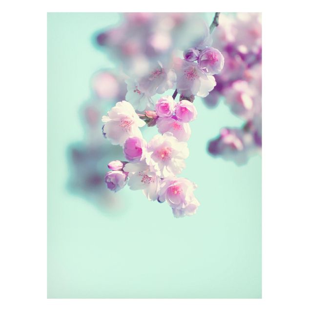 Tableau montagne Fleurs de cerisier colorées