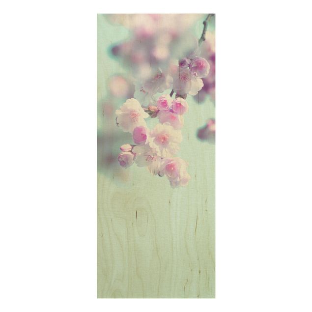 Tableaux en bois avec fleurs Fleurs de cerisier colorées