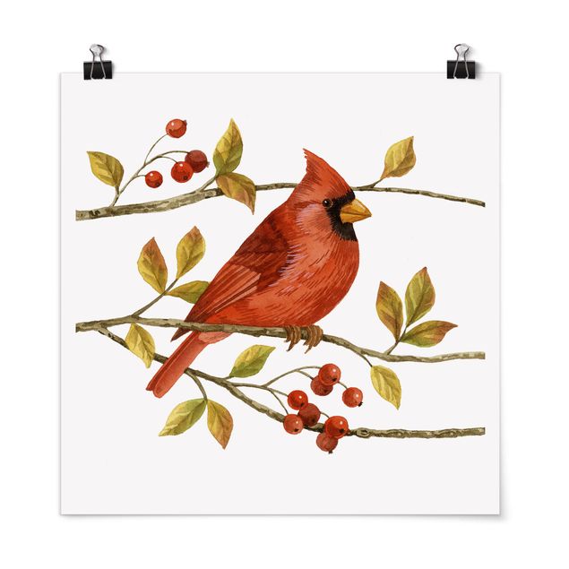 Tableaux animaux Oiseaux et baies - Cardinal du Nord