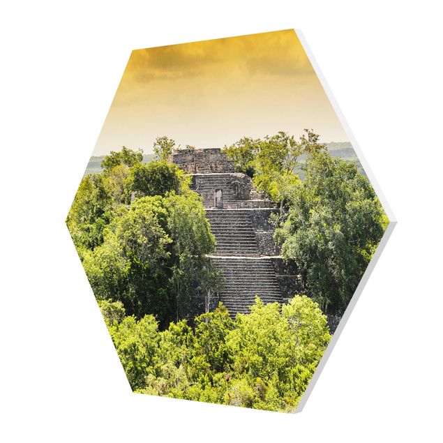 Tableaux nature Pyramide de Calakmul