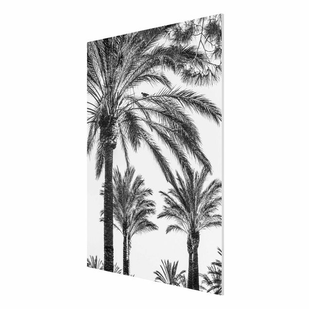 Tableau moderne Palmiers au coucher du soleil noir et blanc