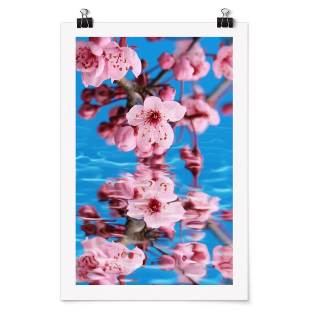 Poster fleurs Fleur de cerisier