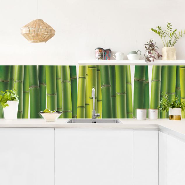 crédence cuisine en verre Bamboo Plants II