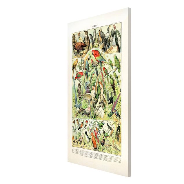 tableaux floraux Tableau Vintage Oiseaux