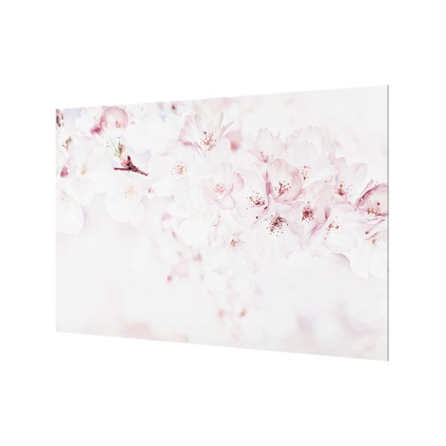 Fonds de hotte - A Touch Of Cherry Blossoms - Format paysage 3:2