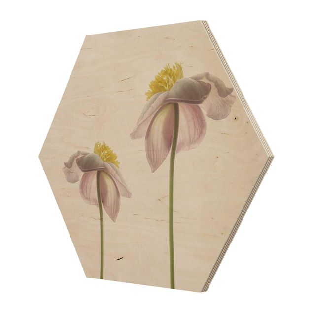 Hexagone en bois - Pink Anemone Blossoms