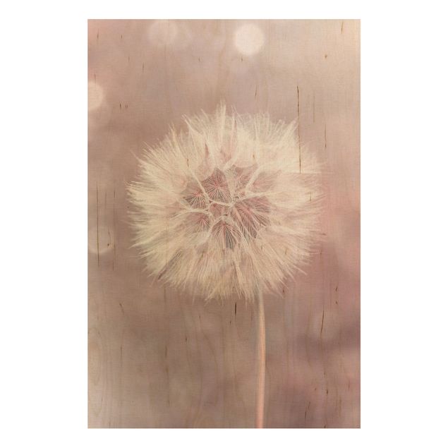 Tableaux en bois avec fleurs Pissenlit Bokeh Rose Clair