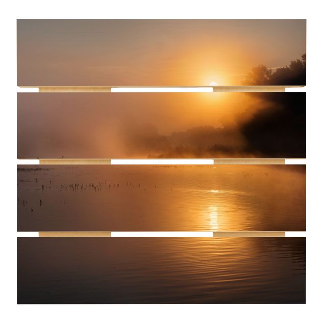 Tableaux muraux Lever de soleil sur le lac avec des cerfs dans le brouillard