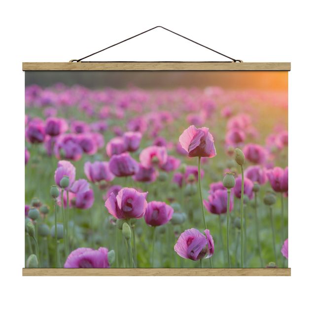 Tableaux fleurs Prairie de coquelicots violets au printemps