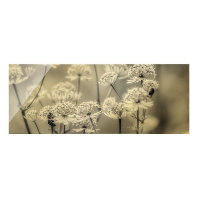 Tableaux noir et blanc Fleurs sauvages flottantes II