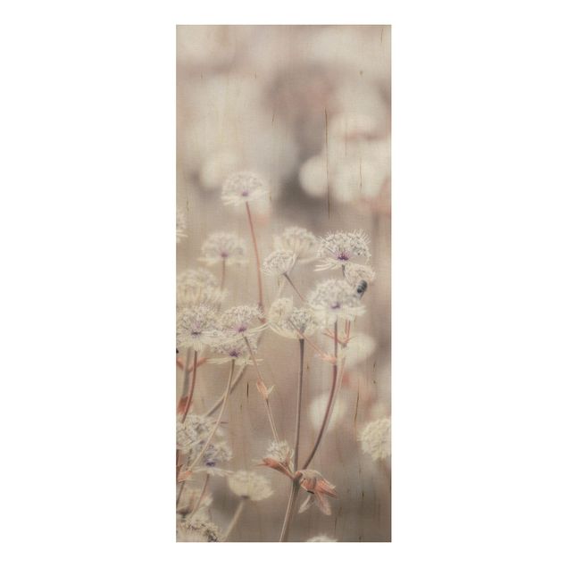 Tableaux en bois avec fleurs Fleurs sauvages légères comme une plume