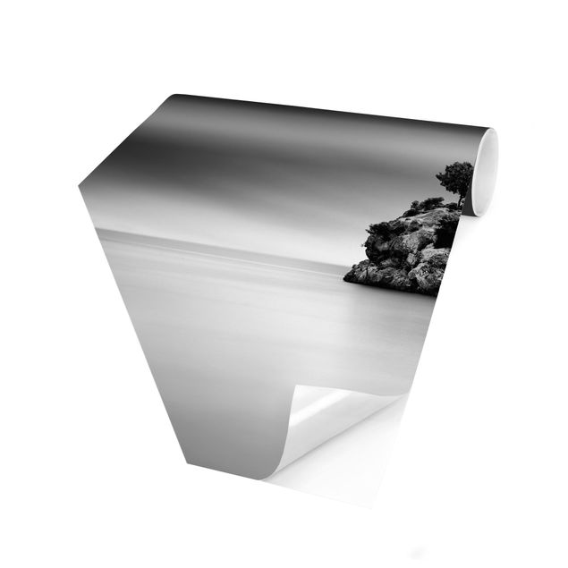 Papier peint panoramique hexagonal Île rocheuse dans la mer Noir et blanc
