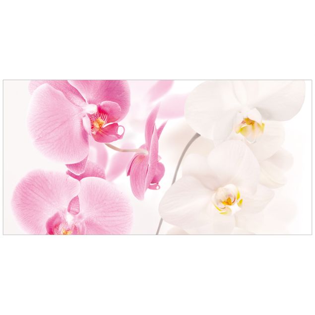 Stickers fenêtre fleurs Orchidées délicates