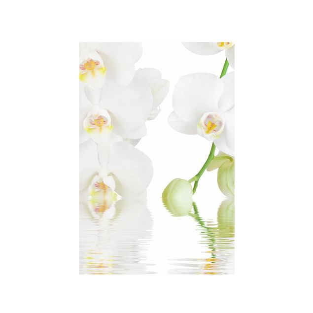 Sticker fenêtre fleurs Spa Orchid - White Orchid