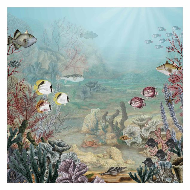 Papier peint paysage Vue de loin dans le récif corallien
