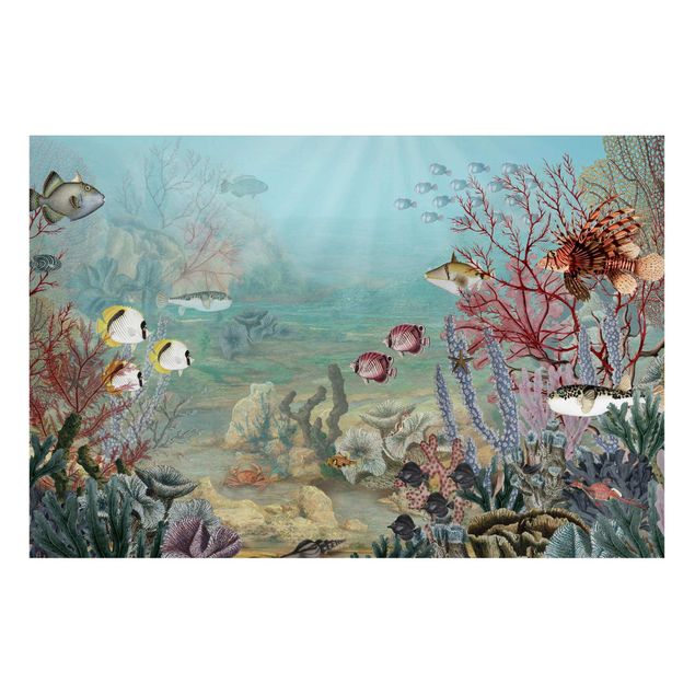 Tableaux paysage Vue de loin dans le récif corallien