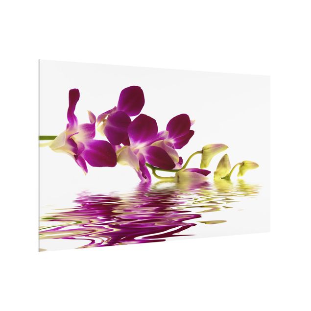 Fond de hotte verre Eaux d'orchidées roses