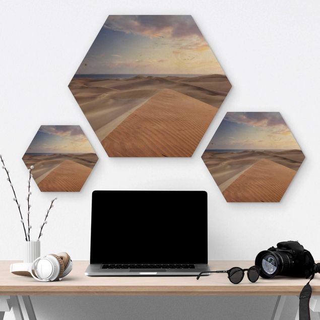 Hexagone en bois - View Of Dunes