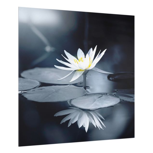 Fond de hotte verre Reflet de lotus dans l'eau