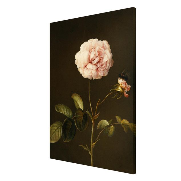 Tableaux magnétiques avec fleurs Barbara Regina Dietzsch - Rose française avec Bumblbee