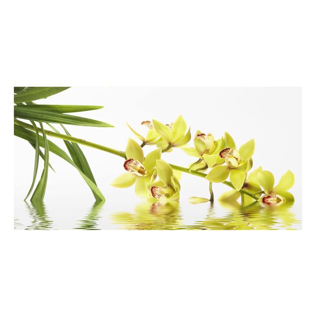 Fond de hotte - Elegant Orchid Waters