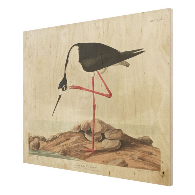 Tableaux en bois avec paysage Tableau Vintage Avocette à pattes