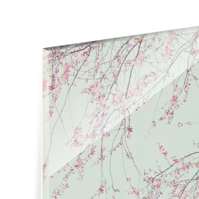 Fonds de hotte - Cherry Blossom Yearning - Format paysage 4:3