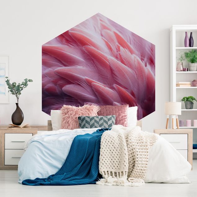 Papier peint moderne Plumes de flamant rose en gros plan