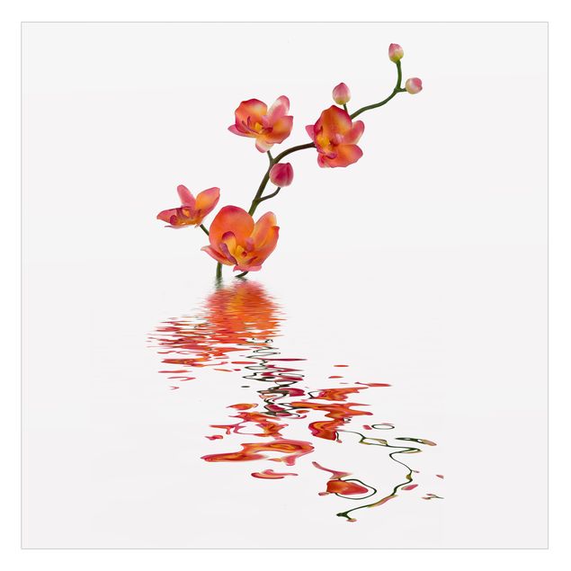 Décoration pour fenêtre - Eaux flamboyantes d'orchidées