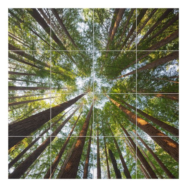Films adhésifs pour carrelage verts Têtes de Séquoia