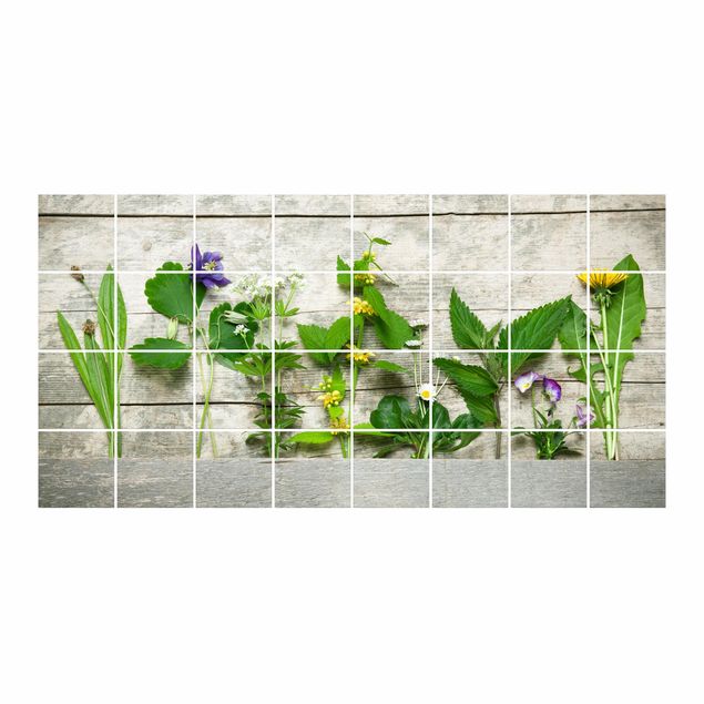Stickers carrelage Medicinal And Meadow Herbs