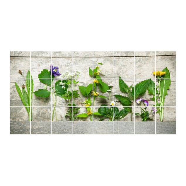 Sticker pour carrelage - Medicinal And Meadow Herbs
