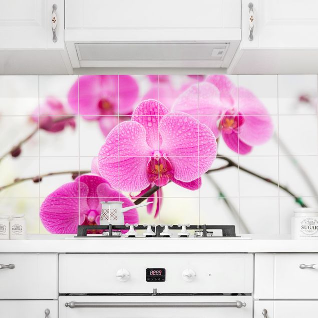 Décorations cuisine Tile Mural Gros plan d'une orchidée