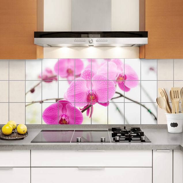 Films adhésifs Tile Mural Gros plan d'une orchidée