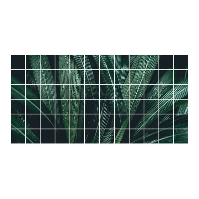 Film adhésif décoratif Feuilles de palmier vertes